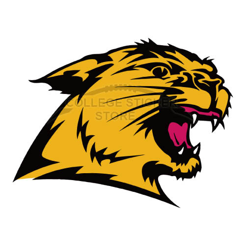 Personal Northern Michigan Wildcats Iron-on Transfers (Wall Stickers)NO.5690